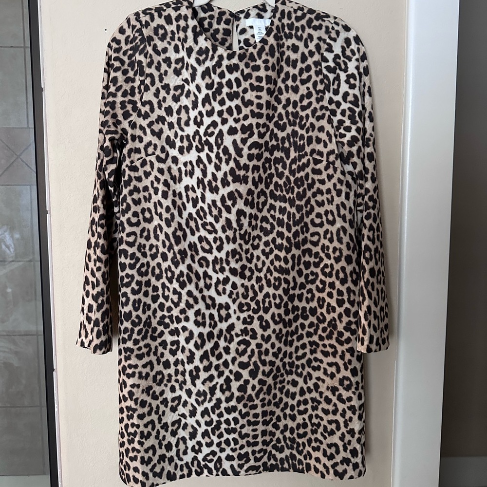 H&M Animal Print Dress